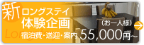 �u�V�v�����O�X�e�C�̌����