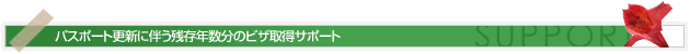 パスポート更新に伴う残存年数分のビザ取得サポート