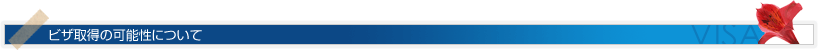ビザ取得の可能性ついて